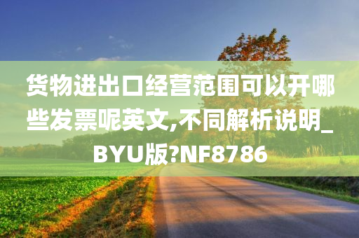 货物进出口经营范围可以开哪些发票呢英文,不同解析说明_BYU版?NF8786