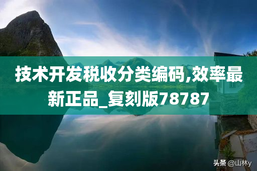 技术开发税收分类编码,效率最新正品_复刻版78787