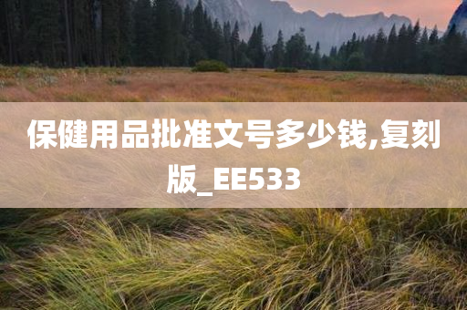 保健用品批准文号多少钱,复刻版_EE533