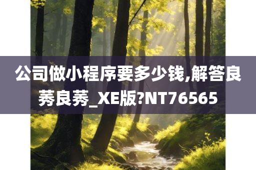 公司做小程序要多少钱,解答良莠良莠_XE版?NT76565