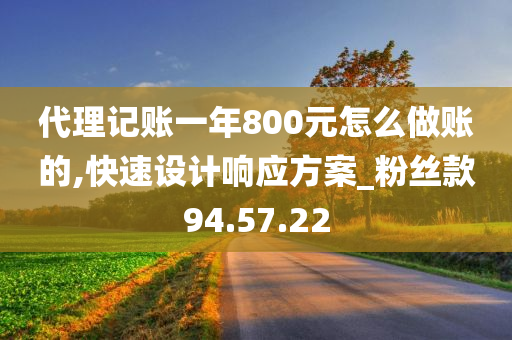 代理记账一年800元怎么做账的,快速设计响应方案_粉丝款94.57.22