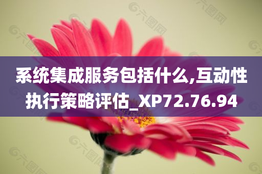 系统集成服务包括什么,互动性执行策略评估_XP72.76.94