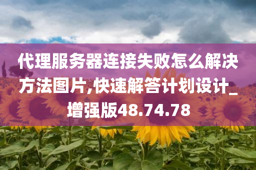 代理服务器连接失败怎么解决方法图片,快速解答计划设计_增强版48.74.78