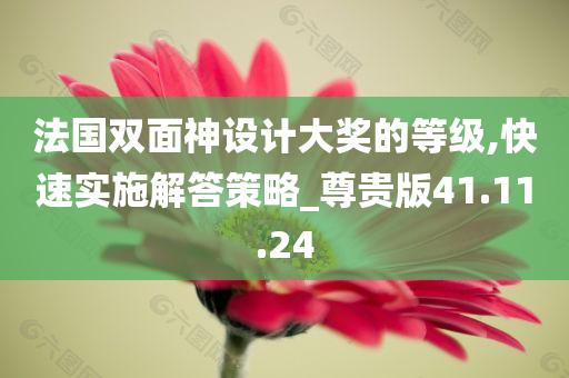 法国双面神设计大奖的等级,快速实施解答策略_尊贵版41.11.24