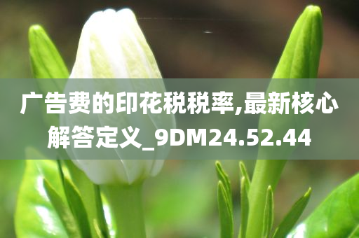 广告费的印花税税率,最新核心解答定义_9DM24.52.44