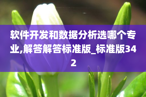 软件开发和数据分析选哪个专业,解答解答标准版_标准版342