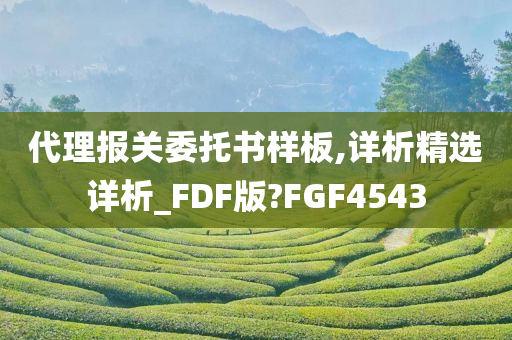 代理报关委托书样板,详析精选详析_FDF版?FGF4543