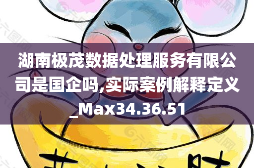 湖南极茂数据处理服务有限公司是国企吗,实际案例解释定义_Max34.36.51