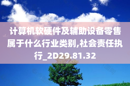 计算机软硬件及辅助设备零售属于什么行业类别,社会责任执行_2D29.81.32