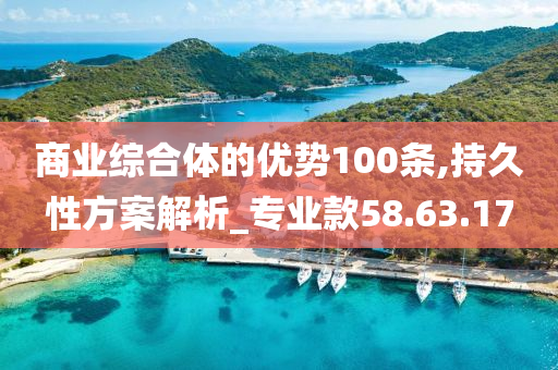 商业综合体的优势100条,持久性方案解析_专业款58.63.17