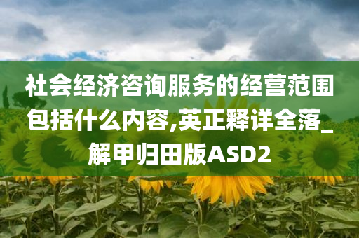 社会经济咨询服务的经营范围包括什么内容,英正释详全落_解甲归田版ASD2