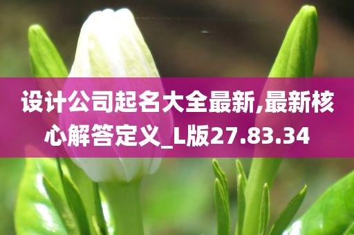 设计公司起名大全最新,最新核心解答定义_L版27.83.34