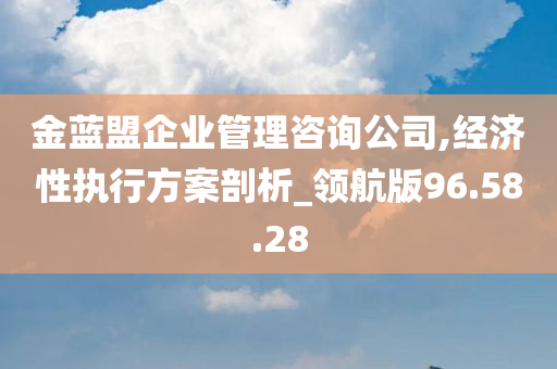 金蓝盟企业管理咨询公司,经济性执行方案剖析_领航版96.58.28