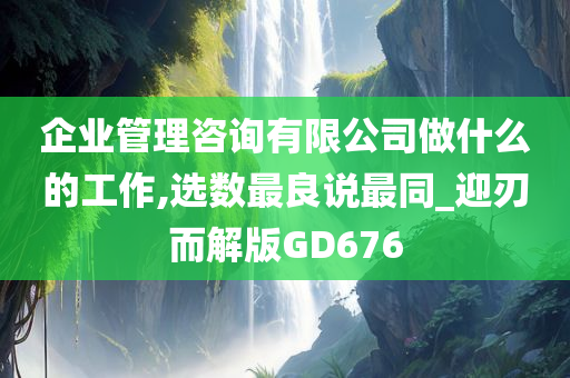 企业管理咨询有限公司做什么的工作,选数最良说最同_迎刃而解版GD676