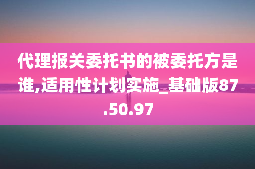 代理报关委托书的被委托方是谁,适用性计划实施_基础版87.50.97