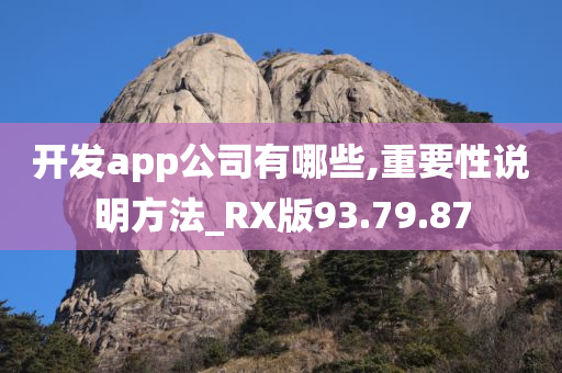 开发app公司有哪些,重要性说明方法_RX版93.79.87