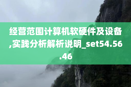 经营范围计算机软硬件及设备,实践分析解析说明_set54.56.46