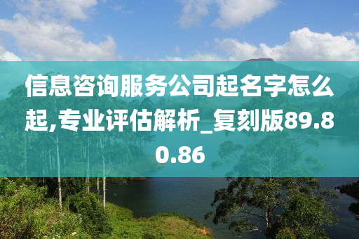 信息咨询服务公司起名字怎么起,专业评估解析_复刻版89.80.86