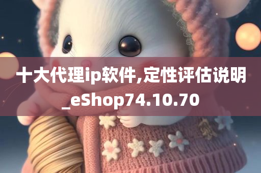 十大代理ip软件,定性评估说明_eShop74.10.70