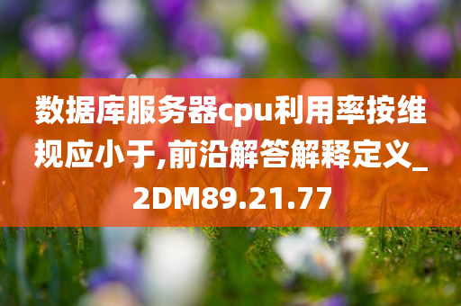 数据库服务器cpu利用率按维规应小于,前沿解答解释定义_2DM89.21.77