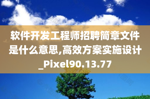 软件开发工程师招聘简章文件是什么意思,高效方案实施设计_Pixel90.13.77