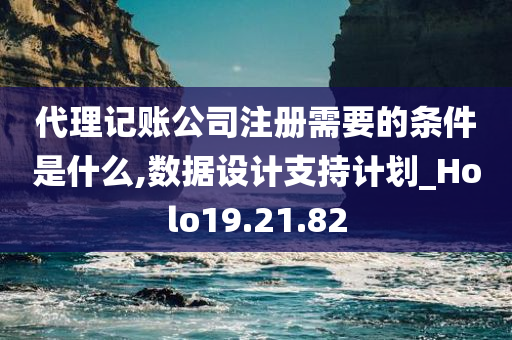 代理记账公司注册需要的条件是什么,数据设计支持计划_Holo19.21.82