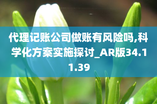 代理记账公司做账有风险吗,科学化方案实施探讨_AR版34.11.39