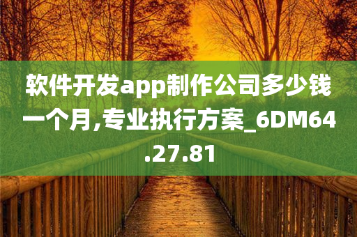 软件开发app制作公司多少钱一个月,专业执行方案_6DM64.27.81