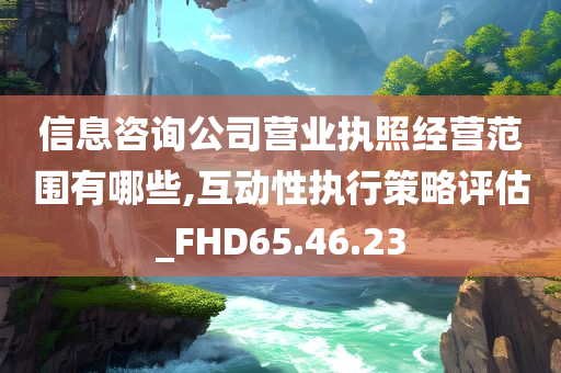 信息咨询公司营业执照经营范围有哪些,互动性执行策略评估_FHD65.46.23