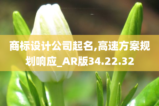 商标设计公司起名,高速方案规划响应_AR版34.22.32