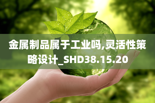 金属制品属于工业吗,灵活性策略设计_SHD38.15.20