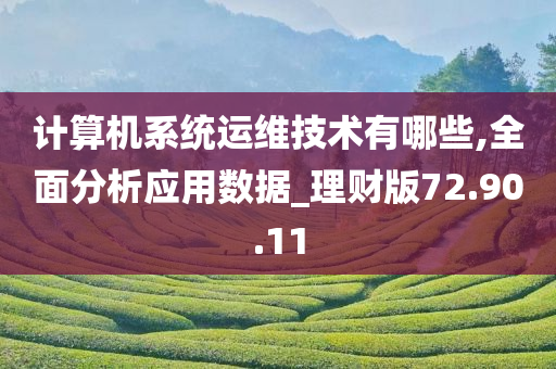 计算机系统运维技术有哪些,全面分析应用数据_理财版72.90.11