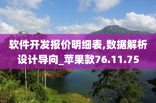 软件开发报价明细表,数据解析设计导向_苹果款76.11.75