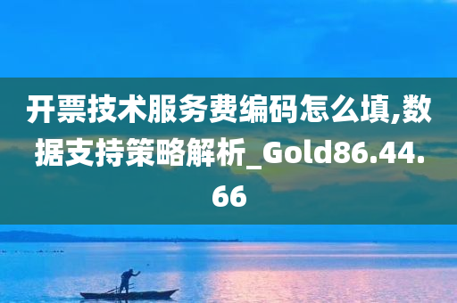 开票技术服务费编码怎么填,数据支持策略解析_Gold86.44.66