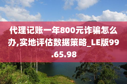 代理记账一年800元诈骗怎么办,实地评估数据策略_LE版99.65.98