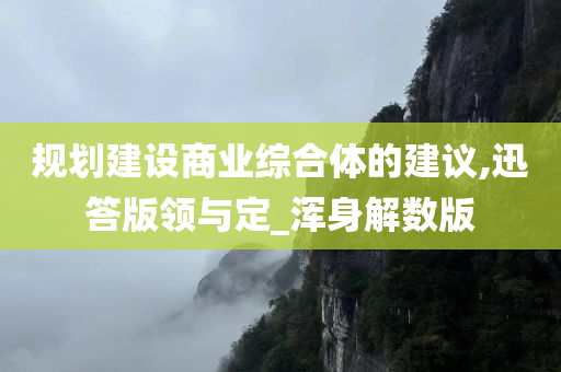 规划建设商业综合体的建议,迅答版领与定_浑身解数版