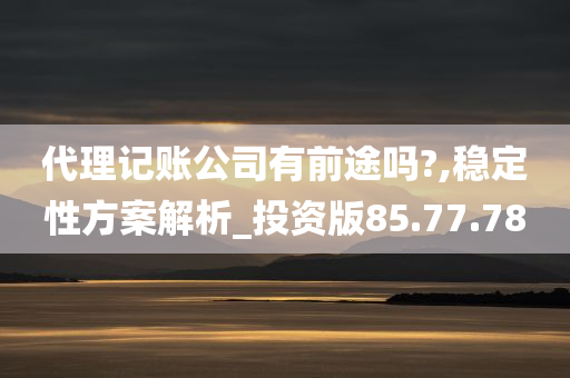 代理记账公司有前途吗?,稳定性方案解析_投资版85.77.78