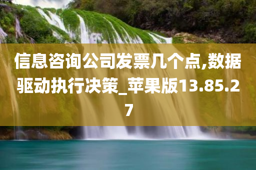 信息咨询公司发票几个点,数据驱动执行决策_苹果版13.85.27