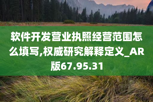 软件开发营业执照经营范围怎么填写,权威研究解释定义_AR版67.95.31