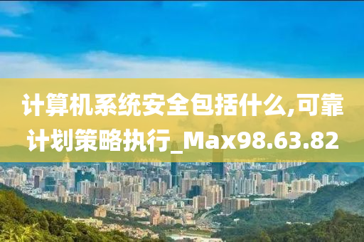 计算机系统安全包括什么,可靠计划策略执行_Max98.63.82