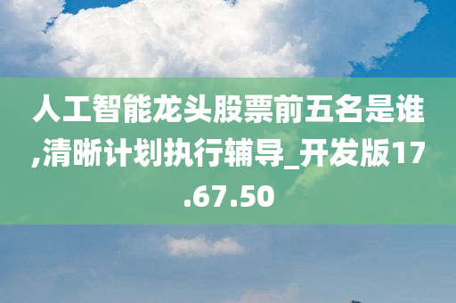 人工智能龙头股票前五名是谁,清晰计划执行辅导_开发版17.67.50