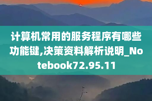 计算机常用的服务程序有哪些功能键,决策资料解析说明_Notebook72.95.11