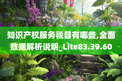 知识产权服务税目有哪些,全面数据解析说明_Lite83.39.60