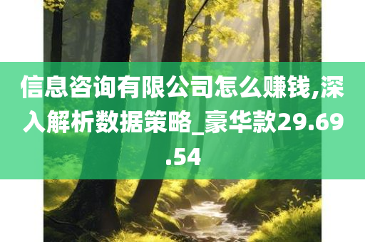 信息咨询有限公司怎么赚钱,深入解析数据策略_豪华款29.69.54