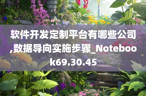 软件开发定制平台有哪些公司,数据导向实施步骤_Notebook69.30.45