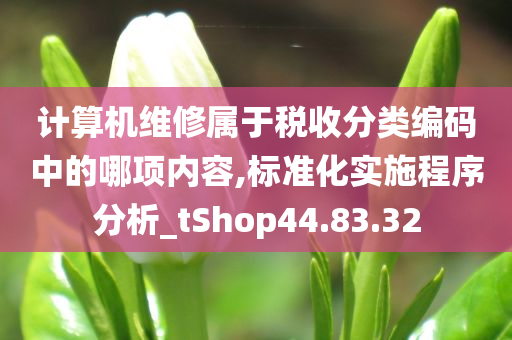 计算机维修属于税收分类编码中的哪项内容,标准化实施程序分析_tShop44.83.32