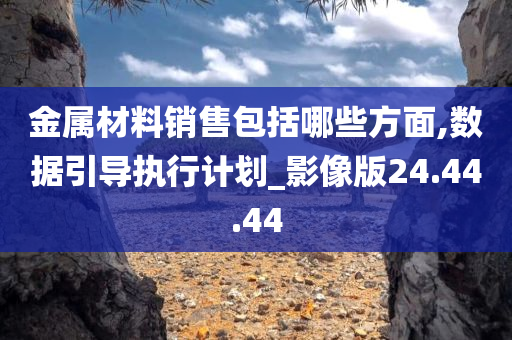 金属材料销售包括哪些方面,数据引导执行计划_影像版24.44.44