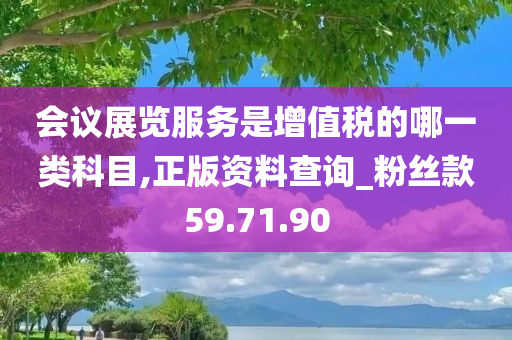 会议展览服务是增值税的哪一类科目,正版资料查询_粉丝款59.71.90