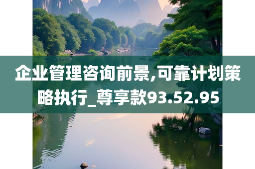 企业管理咨询前景,可靠计划策略执行_尊享款93.52.95