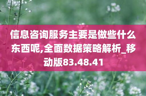 信息咨询服务主要是做些什么东西呢,全面数据策略解析_移动版83.48.41